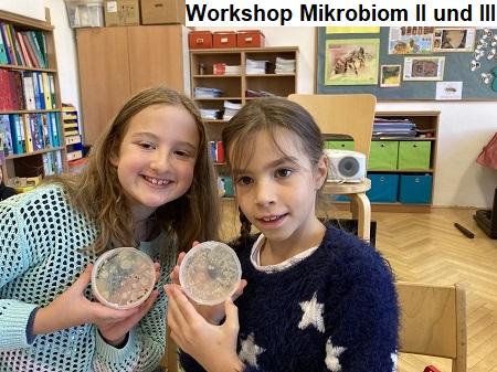 Mikrobiom 5 Start 10