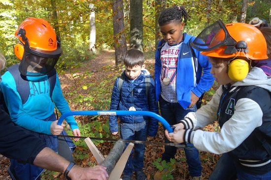 Waldspiele 2017 10