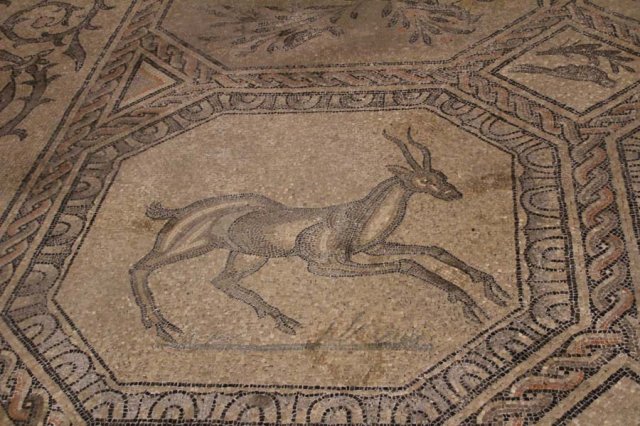 Herbstexkursion Aquileia