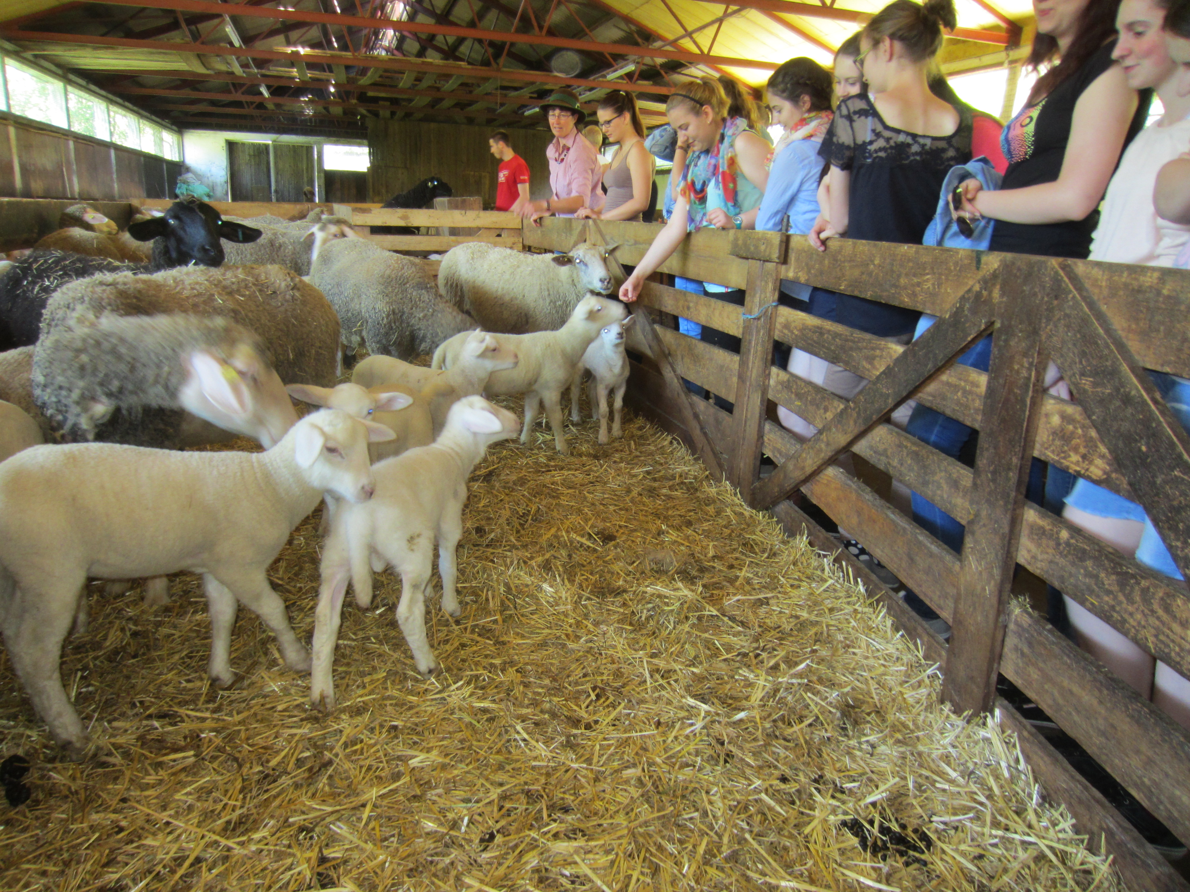 2014 05 27 Exkursion Oststeiermark 068