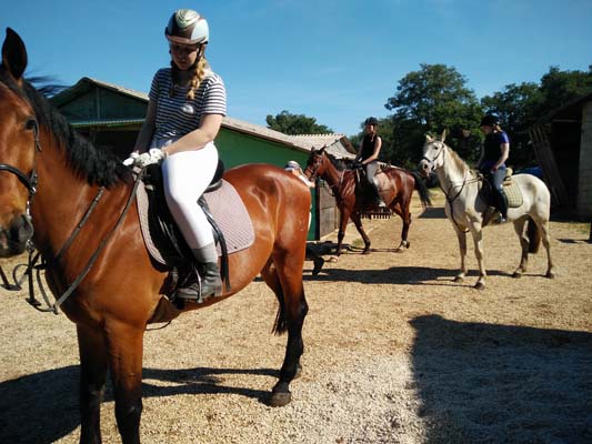 Reiten