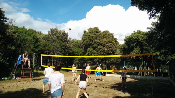 Beachvolley