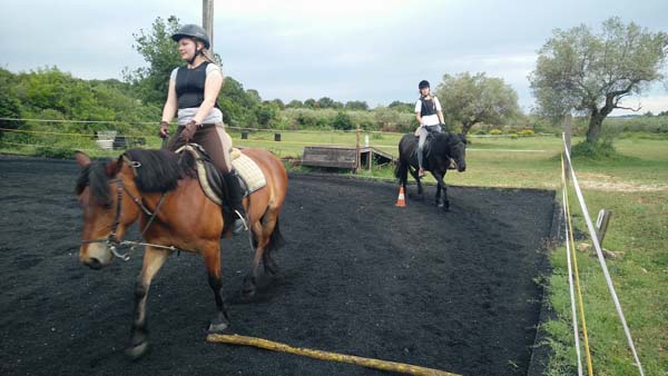 Reiten