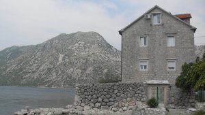 ljuta1