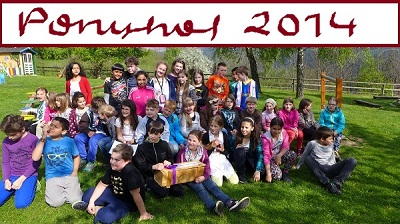 Ponyhof 2014