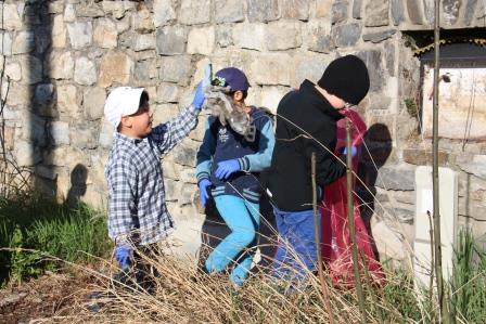 IMG 3216web
